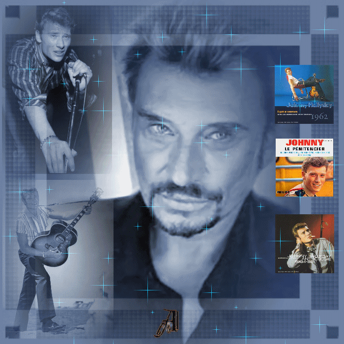 johnny hallyday
